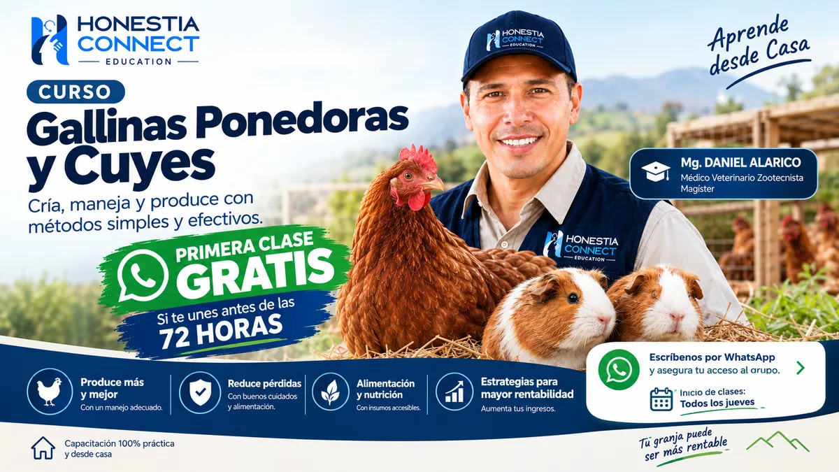 Curso de CRIANZA DE CUYES Y GALLINAS PONEDORAS en Honestia Connect